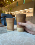 SHIZQ Tsuru Cup