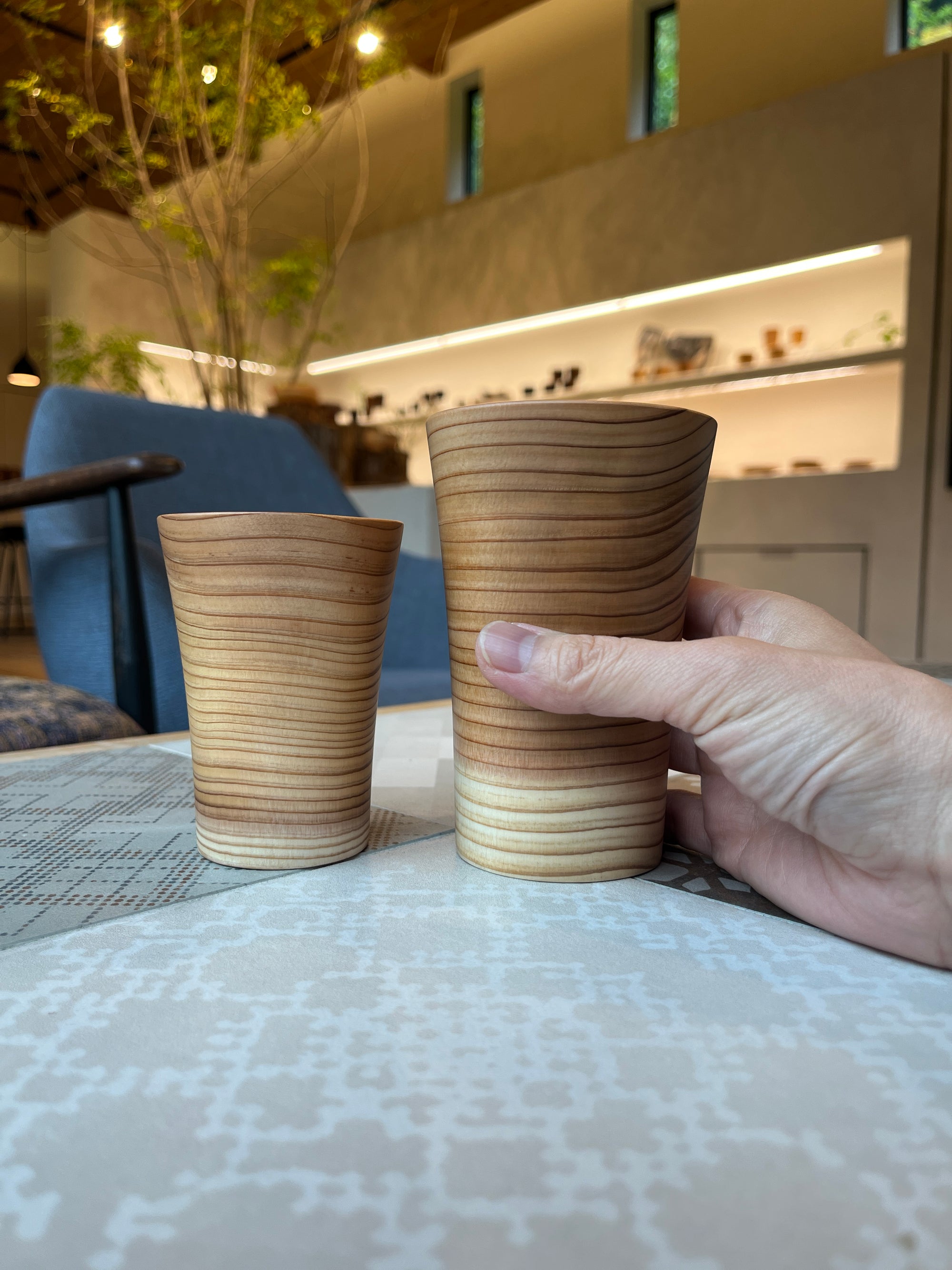 SHIZQ Tsuru Cup