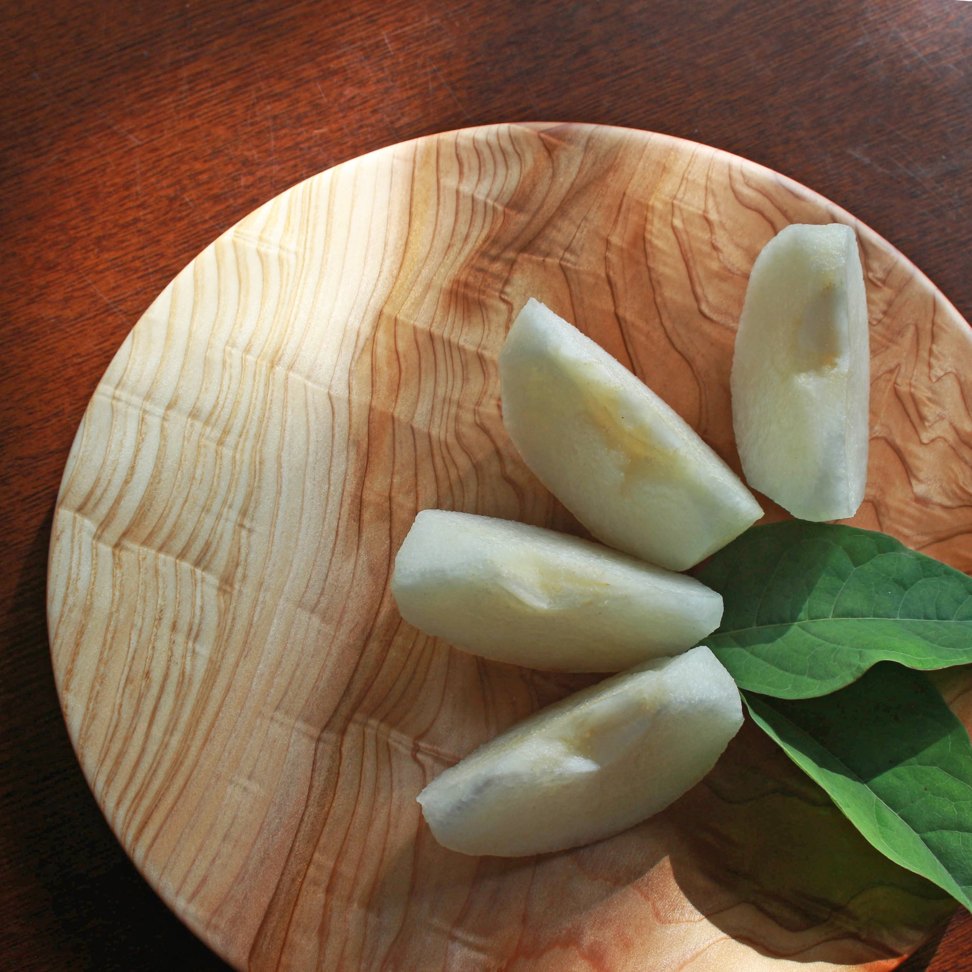 SHIZQ Tsuru Plate L