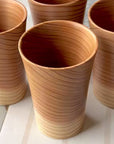 SHIZQ Tsuru Tumbler