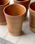 SHIZQ Tsuru Cup