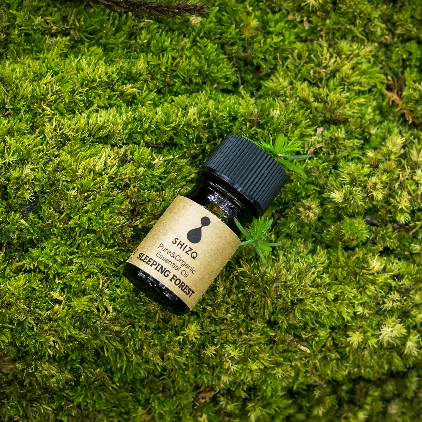 SLEEPING FOREST エッセンシャルオイル – SHIZQ