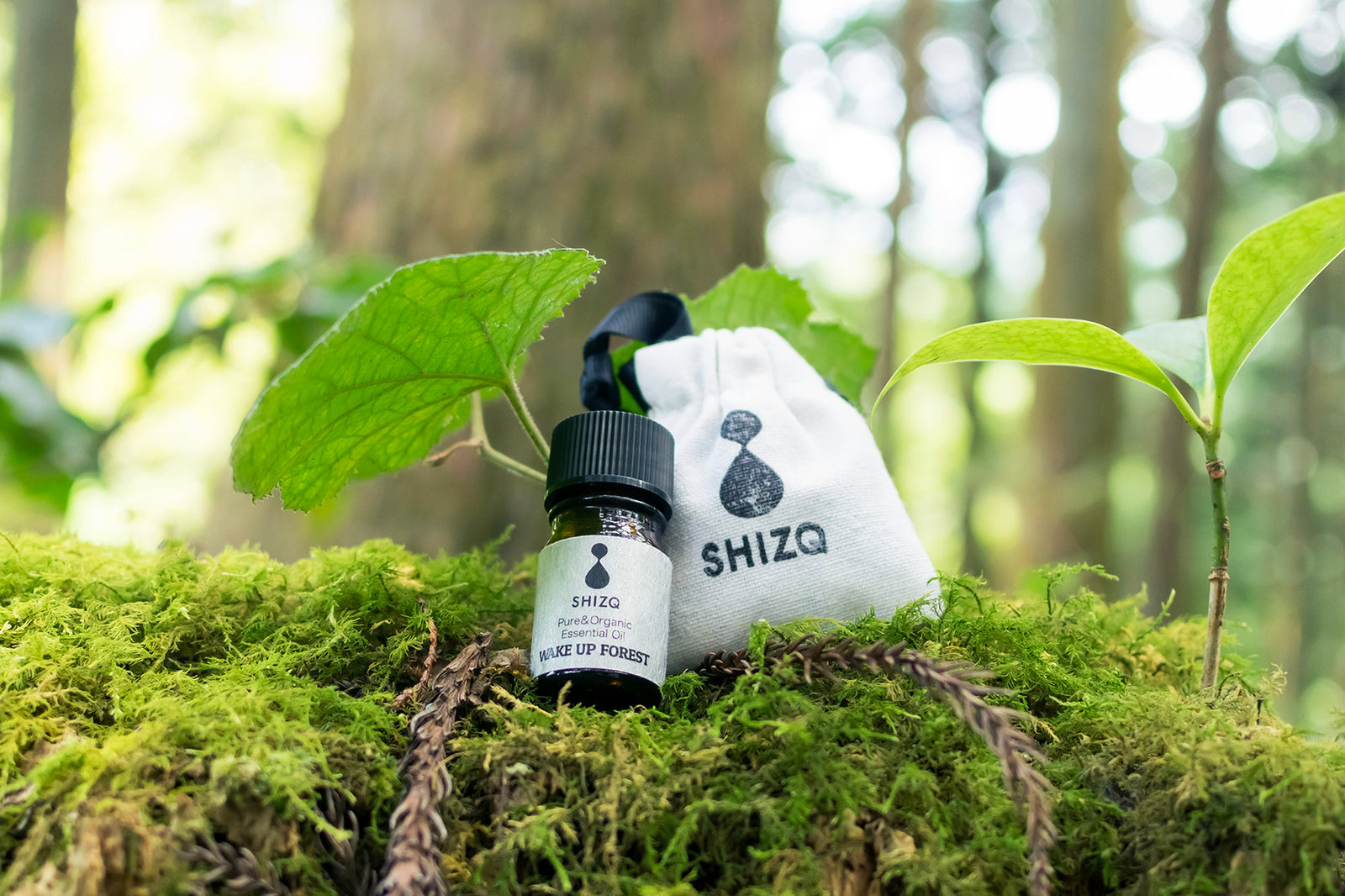 WAKE UP FOREST Essential Oil