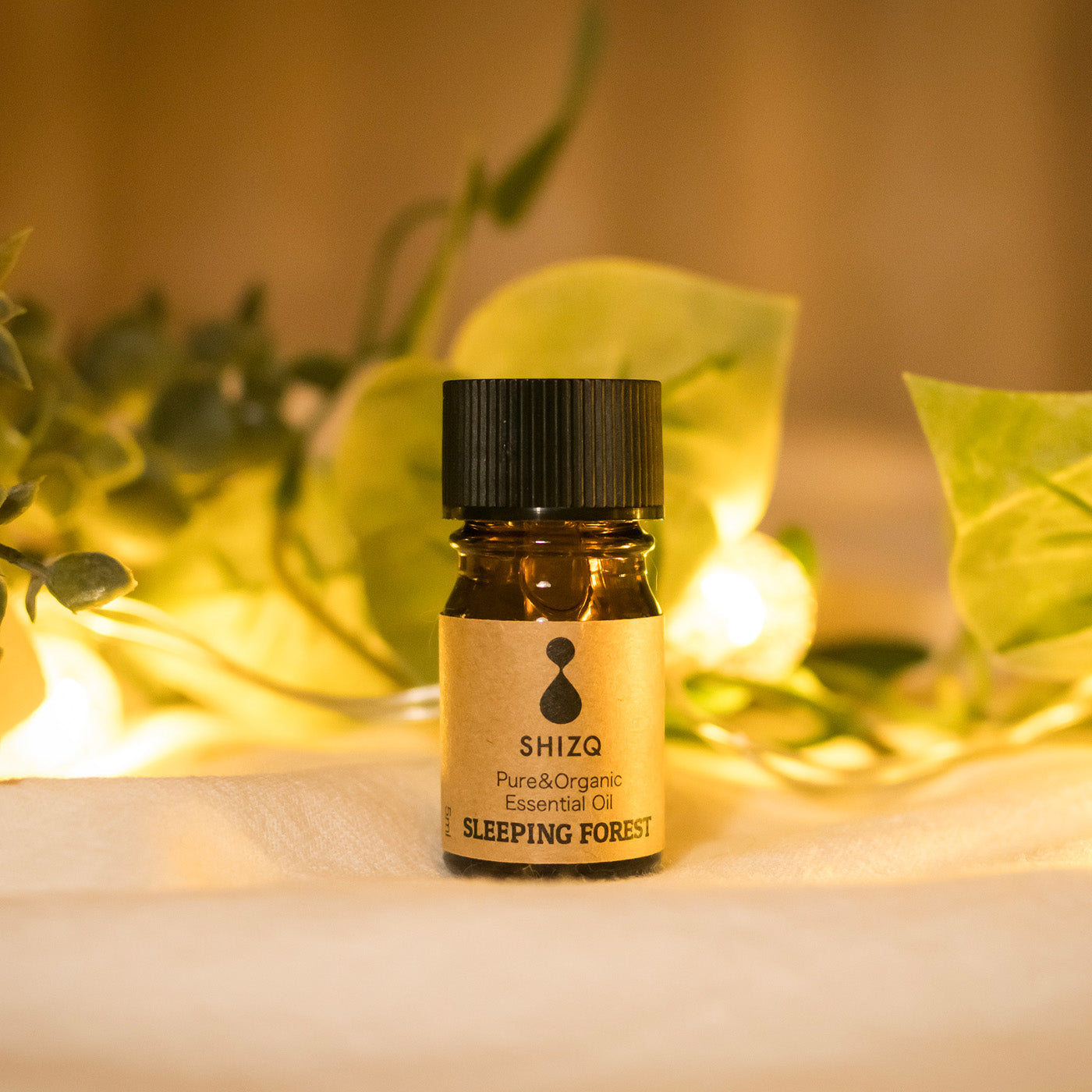 SLEEPING FOREST エッセンシャルオイル 単品 – SHIZQ SLEEPING FOREST エッセンシャルオイル 単品 – SHIZQ