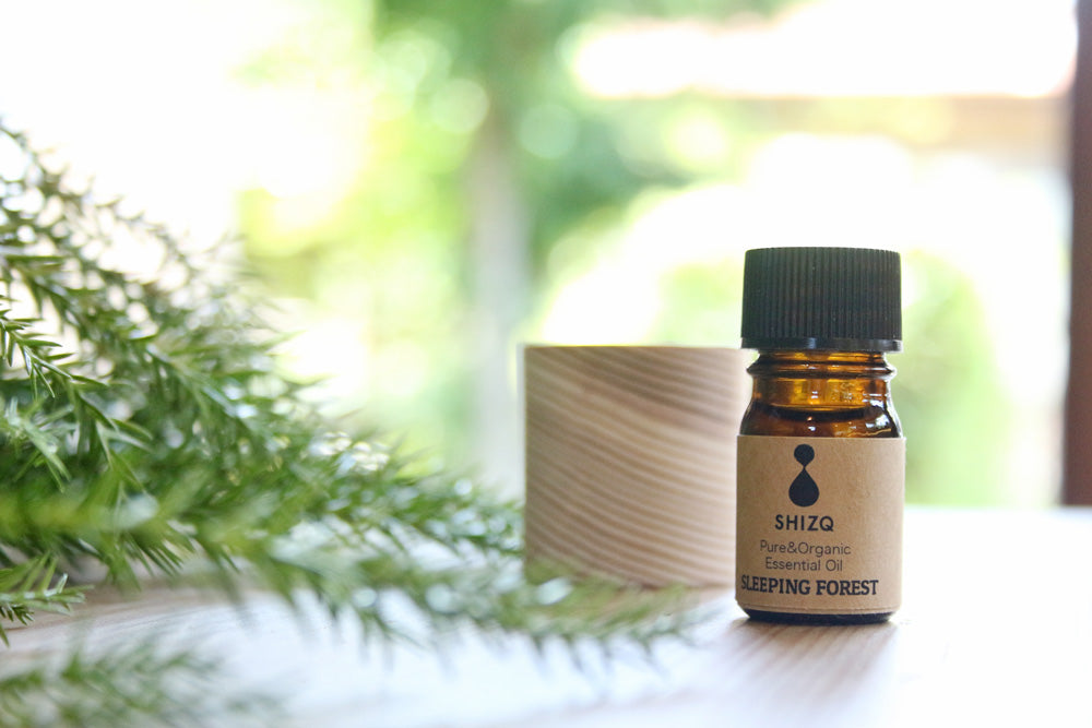 SLEEPING FOREST Essential Oil