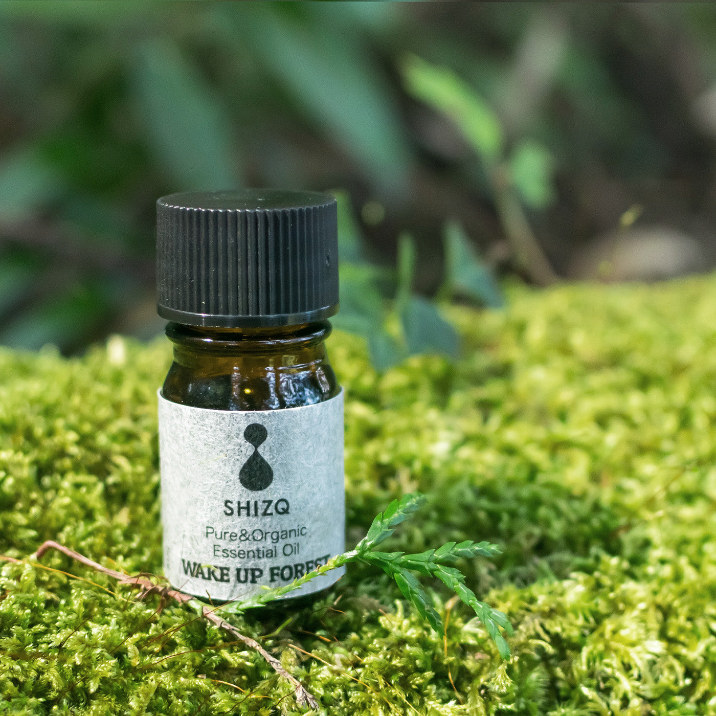 [For a refreshing morning] WAKE UP FOREST Essential Oil &amp; Sachet Gift Set